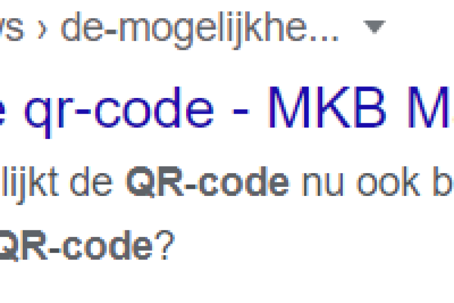 Voorbeeld Metatags.png