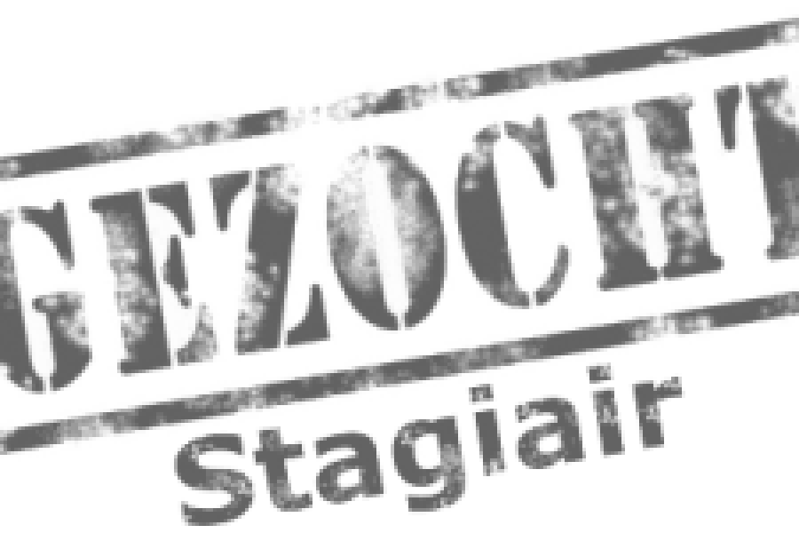 stagiair-300x150.png