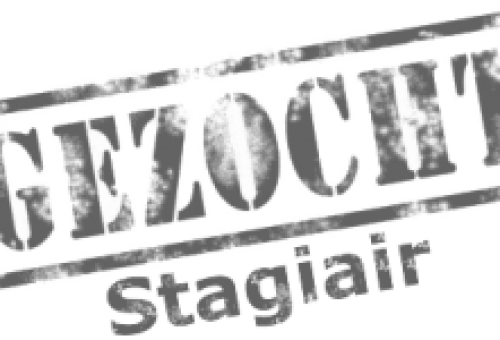 stagiair-300x150.png